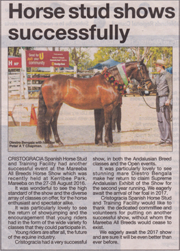 Horse Stud Shows Successfully