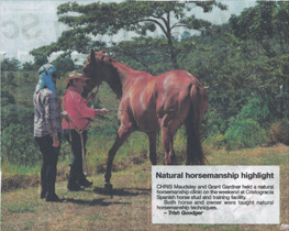 Natural Horsemanship Highlight